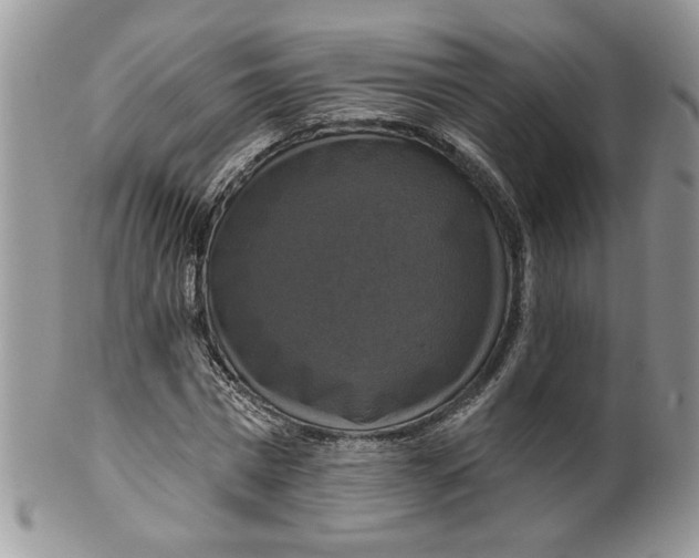 X0000099950777200806131446