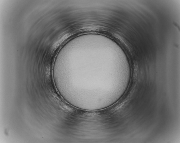 X0000099950778200806131446