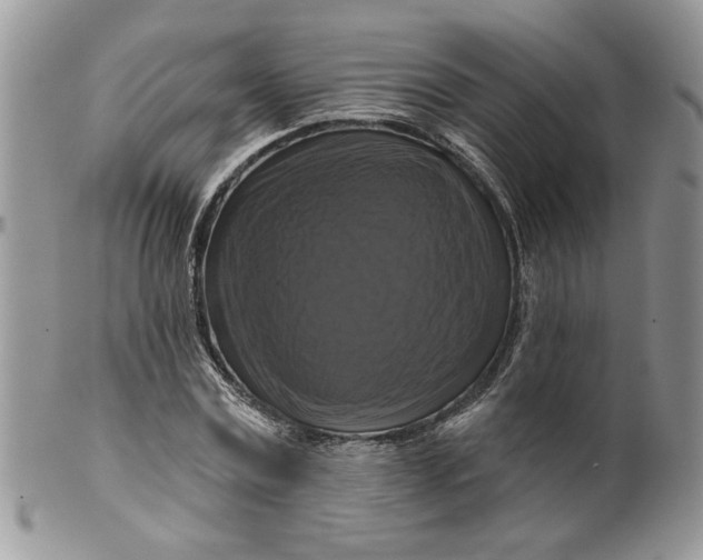 X0000099950779200806131446