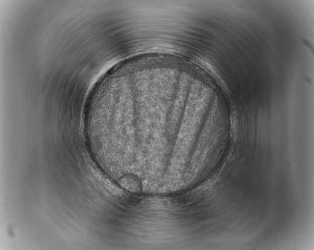 X0000099950780200806131446