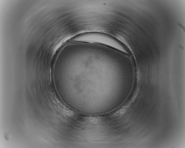 X0000099950781200806131446