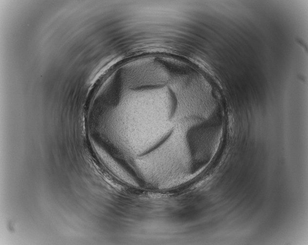 X0000099950782200806131446