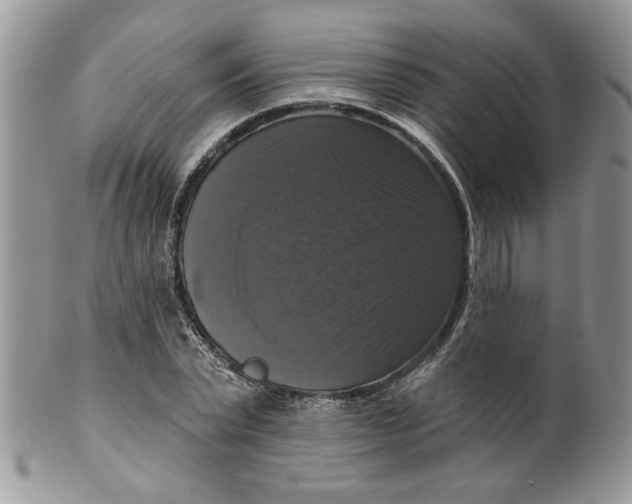 X0000099950783200806131446