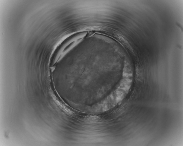 X0000099950784200806131446