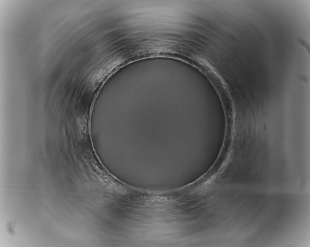 X0000099950785200806131446