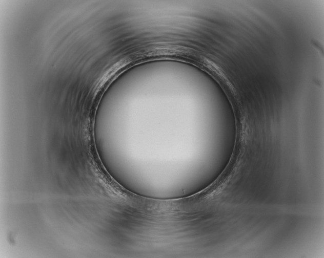 X0000099950786200806131446