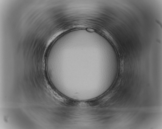 X0000099950787200806131446