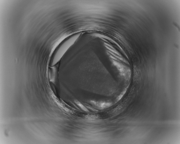 X0000099950788200806131446