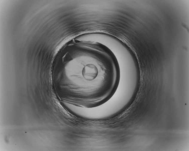 X0000099950789200806131446