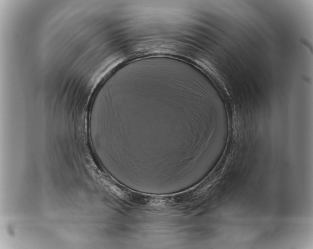 X0000099950790200806131446