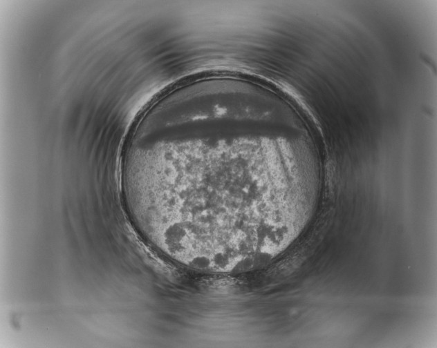 X0000099950791200806131446