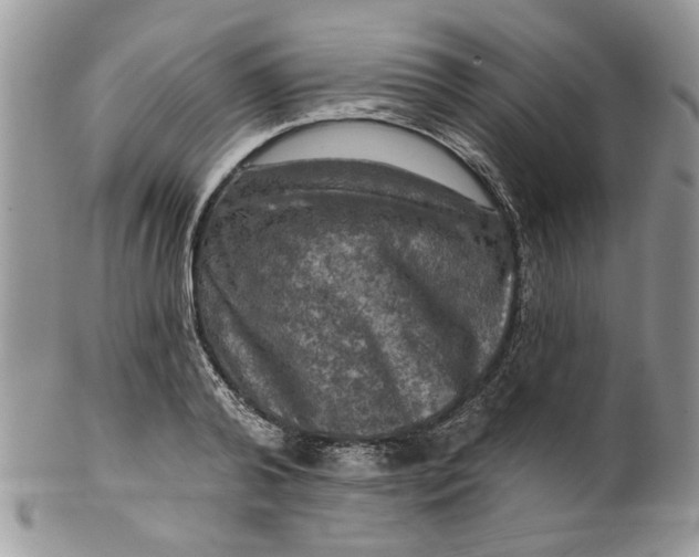 X0000099950792200806131446