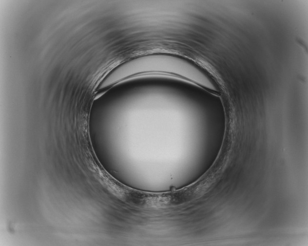 X0000099950793200806131446