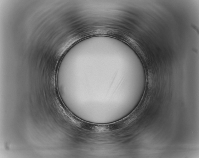 X0000099950794200806131446