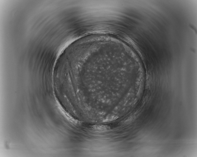 X0000099950795200806131446