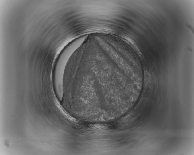 X0000099950796200806131446