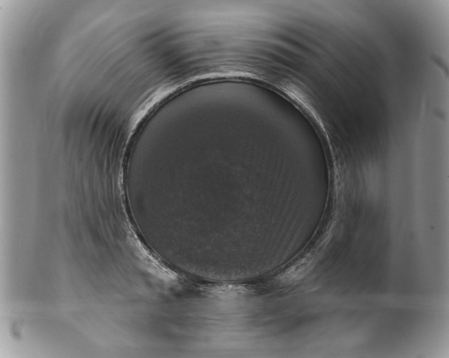 X0000099950797200806131446