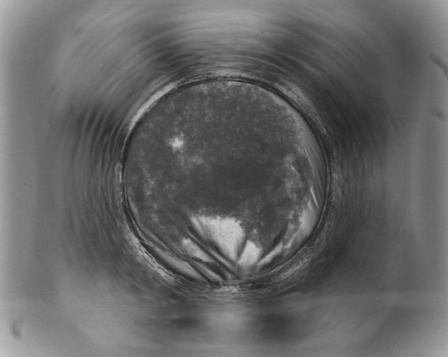 X0000099950798200806131446