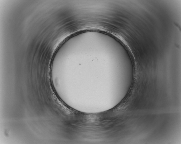 X0000099950799200806131446