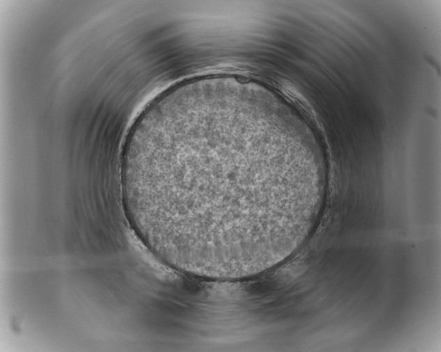 X0000099950800200806131446