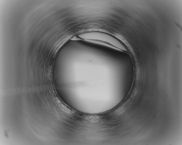 X0000099950801200806131446