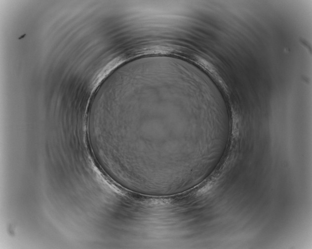 X0000099950802200806131446