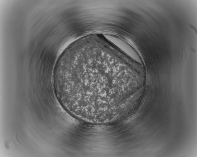 X0000099950803200806131446