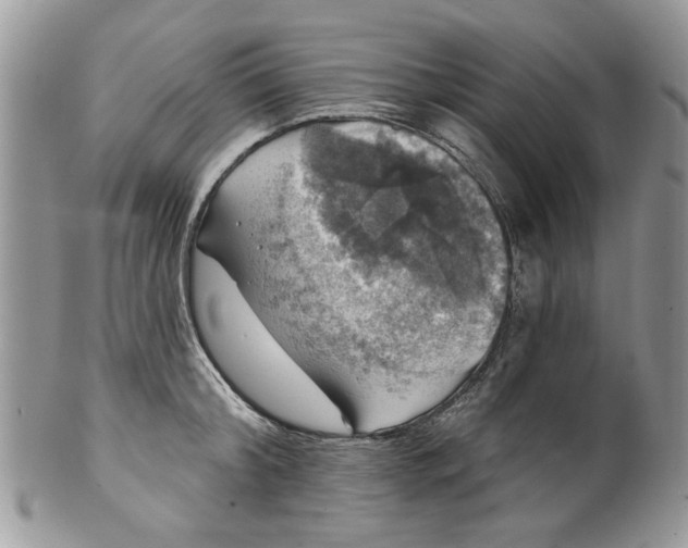 X0000099950804200806131446