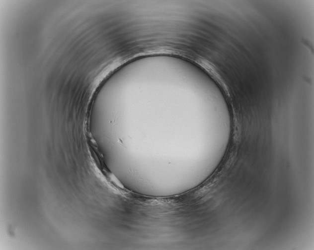 X0000099950805200806131446