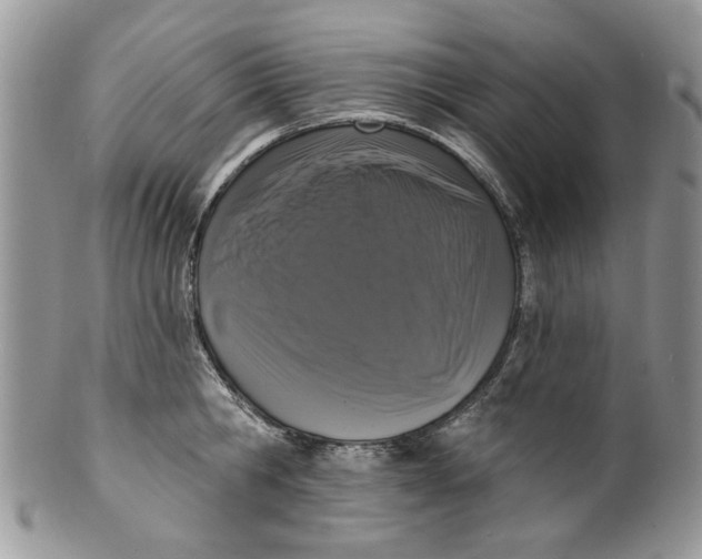 X0000099950806200806131446