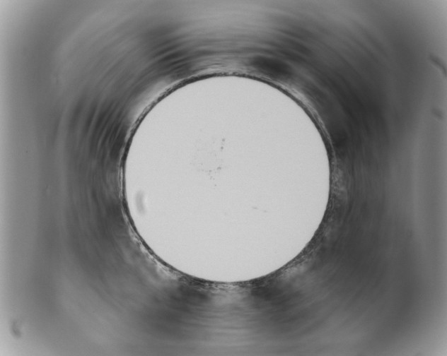 X0000099950807200806131446