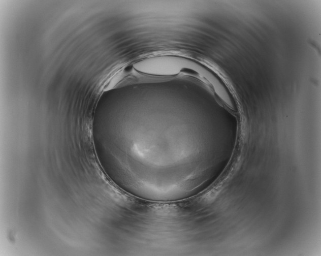 X0000099950809200806131446