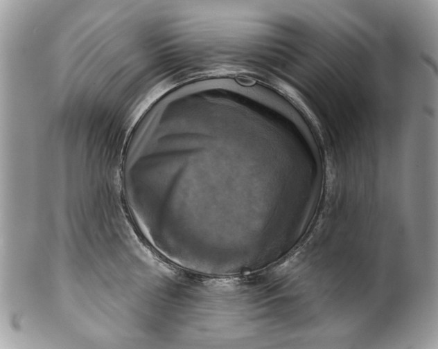 X0000099950810200806131446