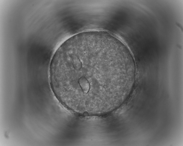 X0000099950811200806131446