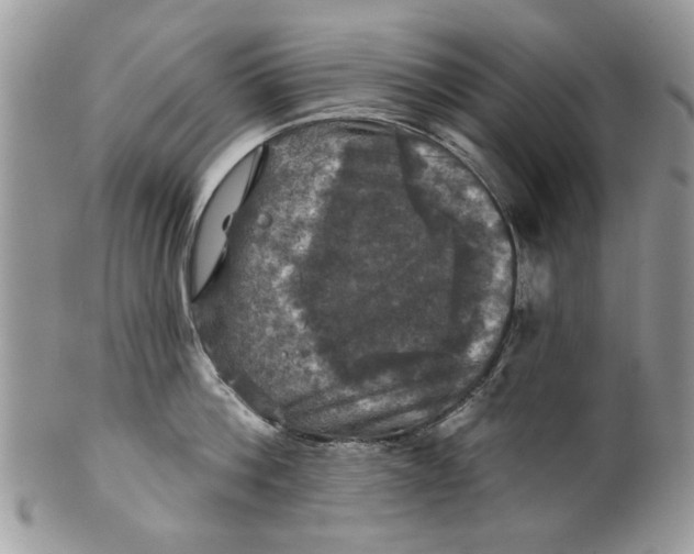 X0000099950812200806131446