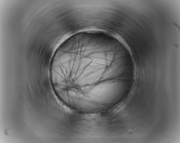 X0000099950813200806131446