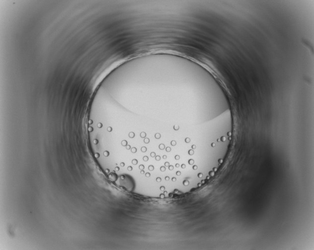 X0000099950814200806131446