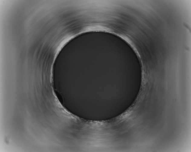 X0000099950815200806131446