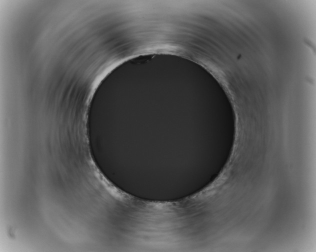 X0000099950816200806131446