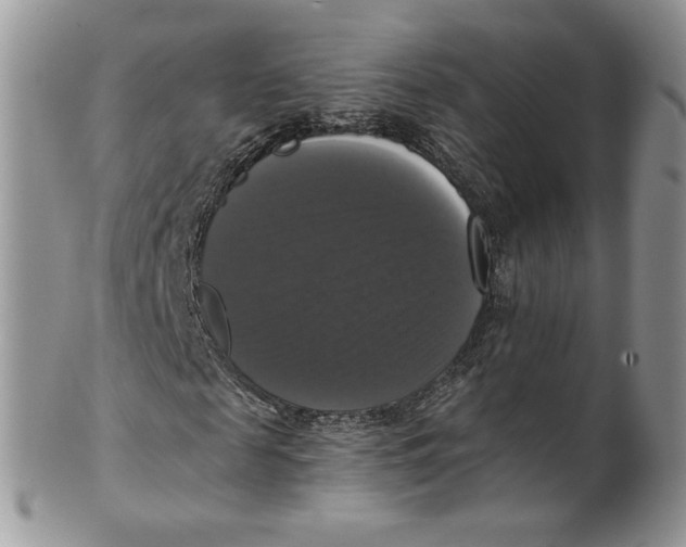 X0000099950817200806131445