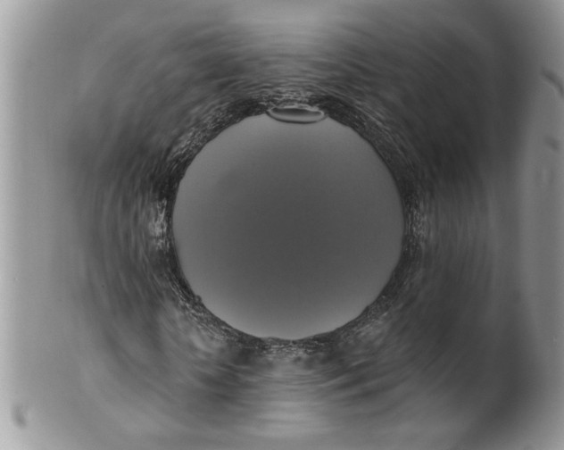 X0000099950818200806131445