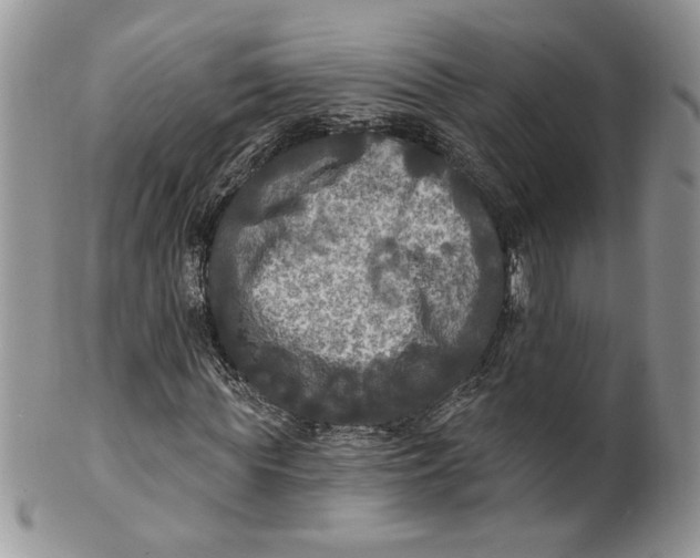 X0000099950819200806131445