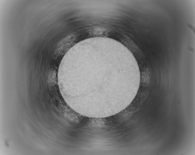 X0000099950820200806131445