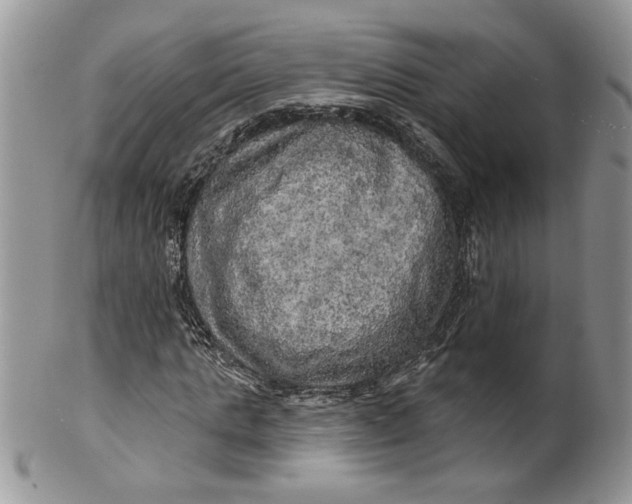 X0000099950821200806131445