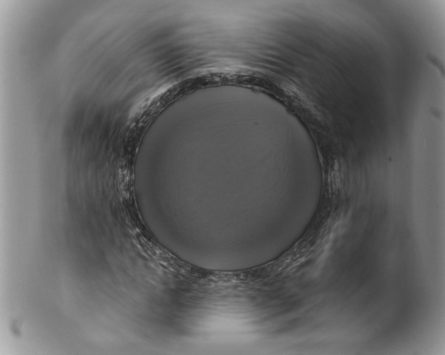 X0000099950822200806131445