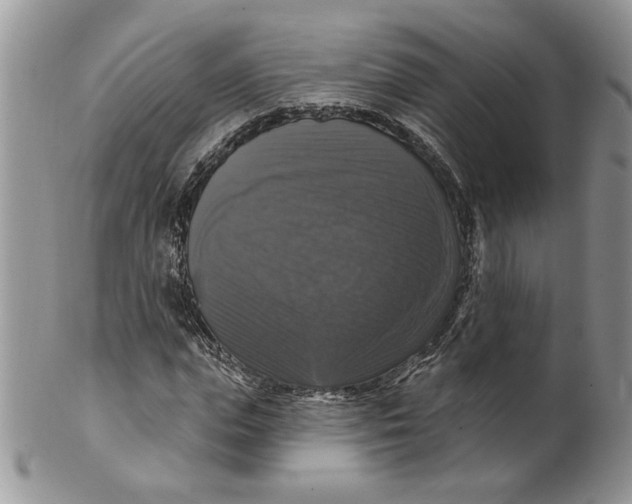 X0000099950823200806131445