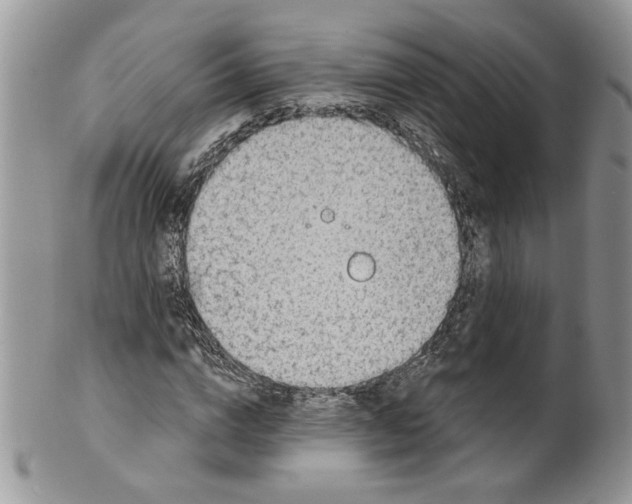 X0000099950824200806131445