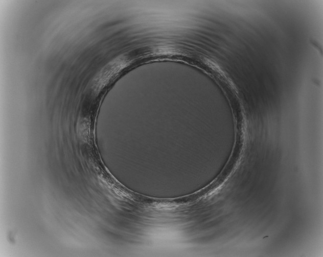 X0000099950825200806131445