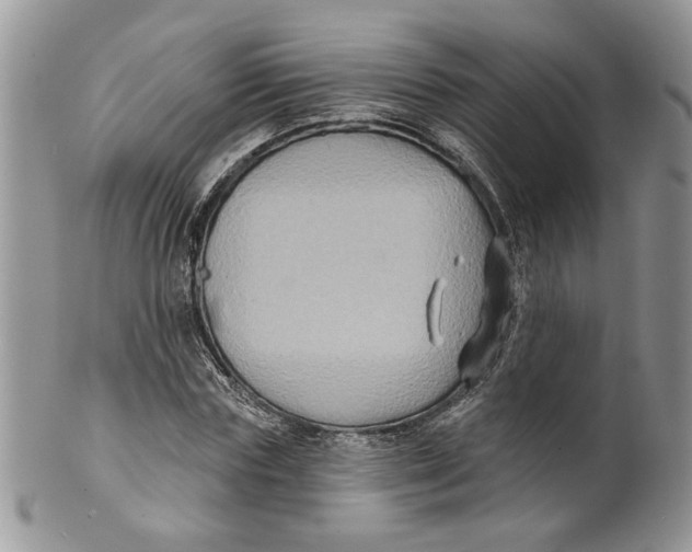 X0000099950827200806131445