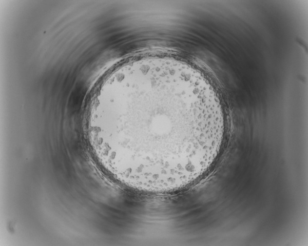 X0000099950828200806131445